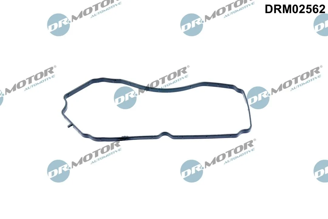 Gasket, crankcase ventilation